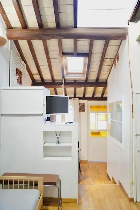 Trastevere Lovely Loft Rome